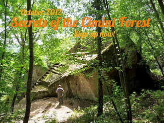 Secrets of the Cimini Forest