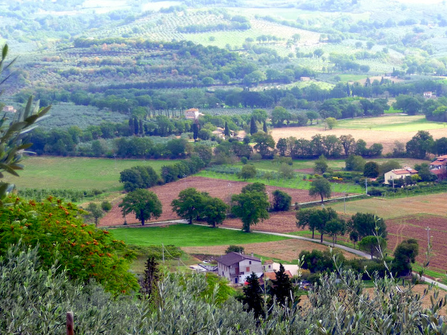 Countryside, Spello