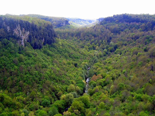 Treja gorge