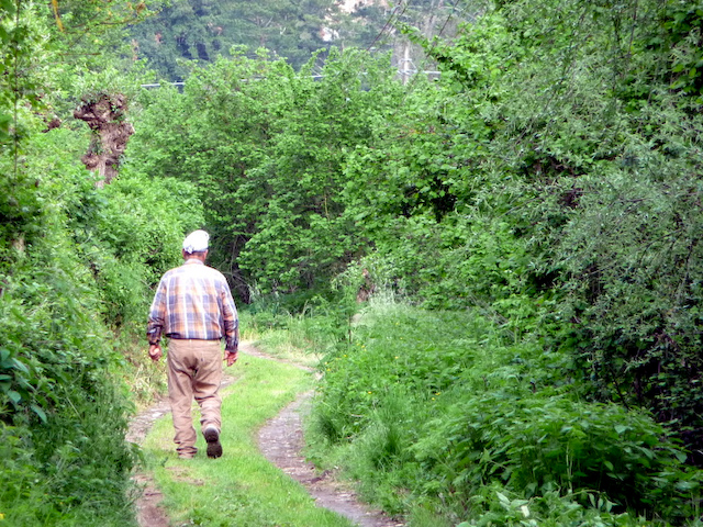 Farmer, Sutri