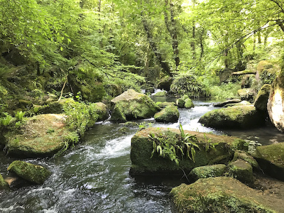 Treja River