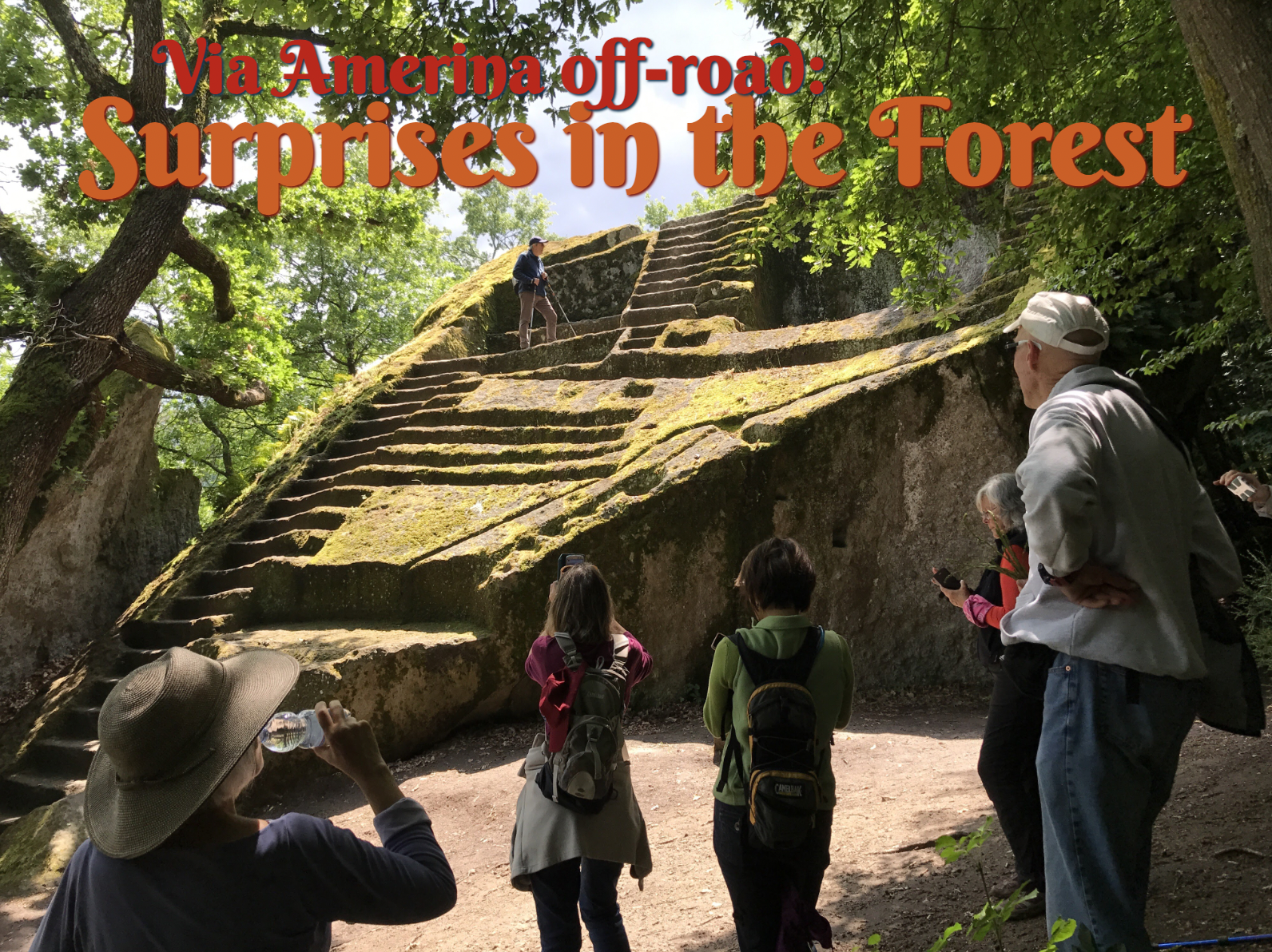 Via Amerina: Surprises in the Forest