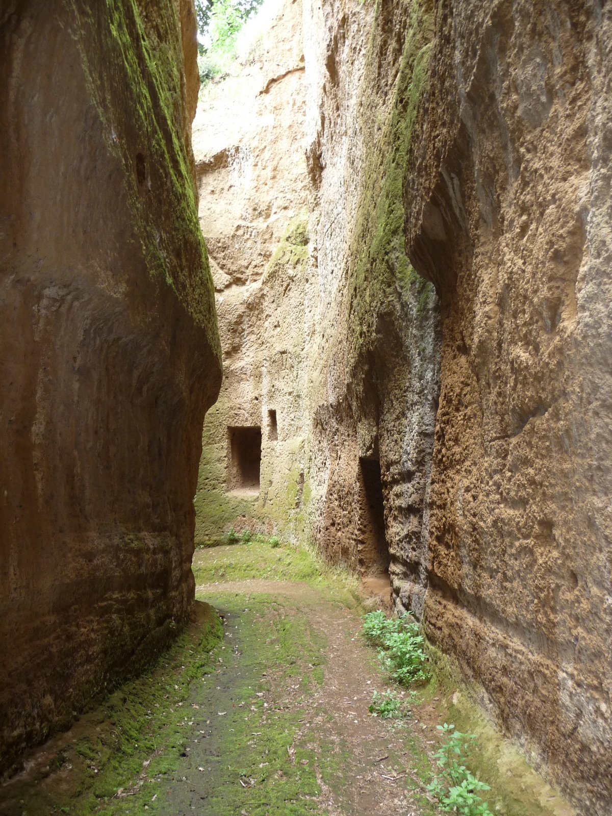 Roman Road Walks Via Amerina trip photo