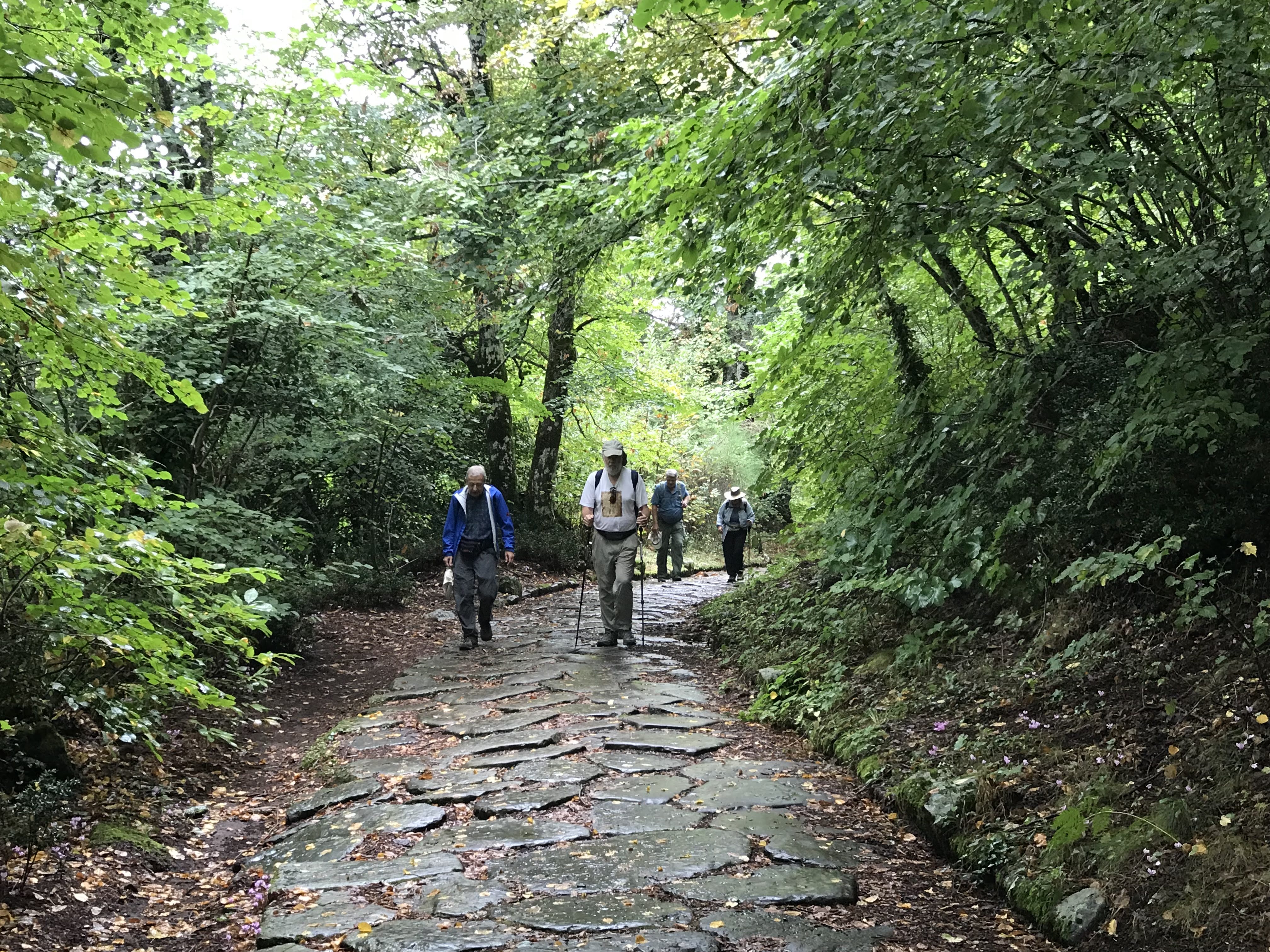 Roman Road Walks Via Appia trip photo