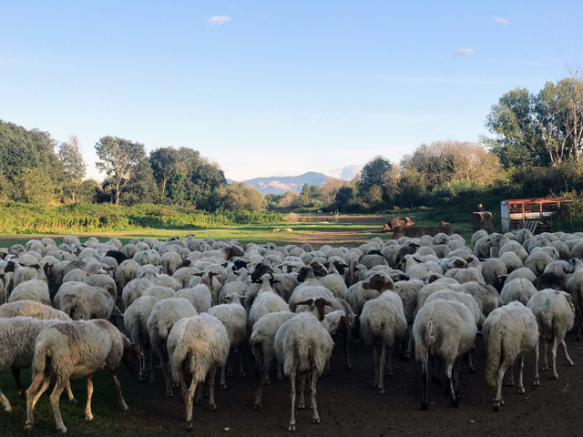 Via Appia Park, Alban Hills in background