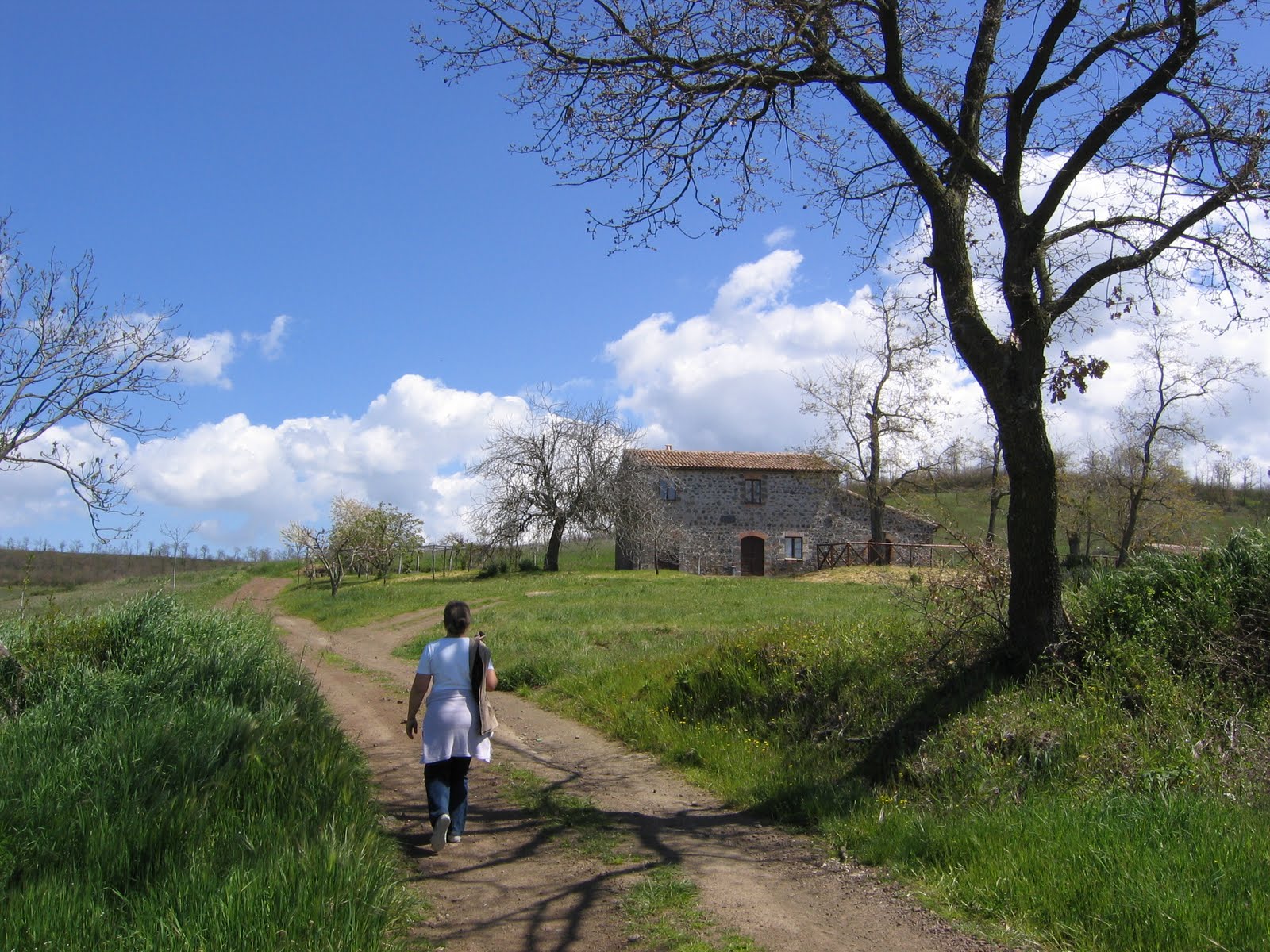 Walking to Bolsena