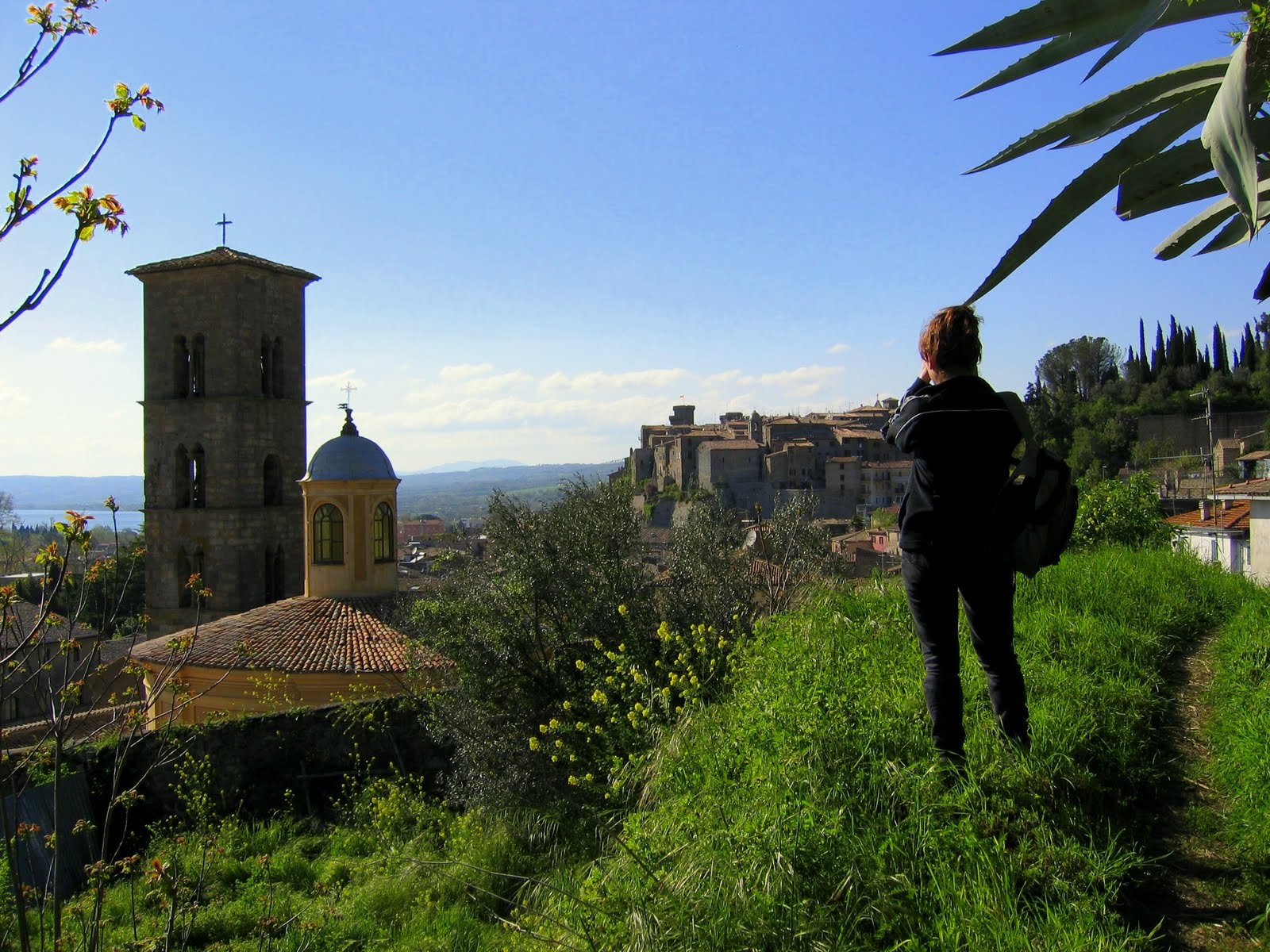 Bolsena