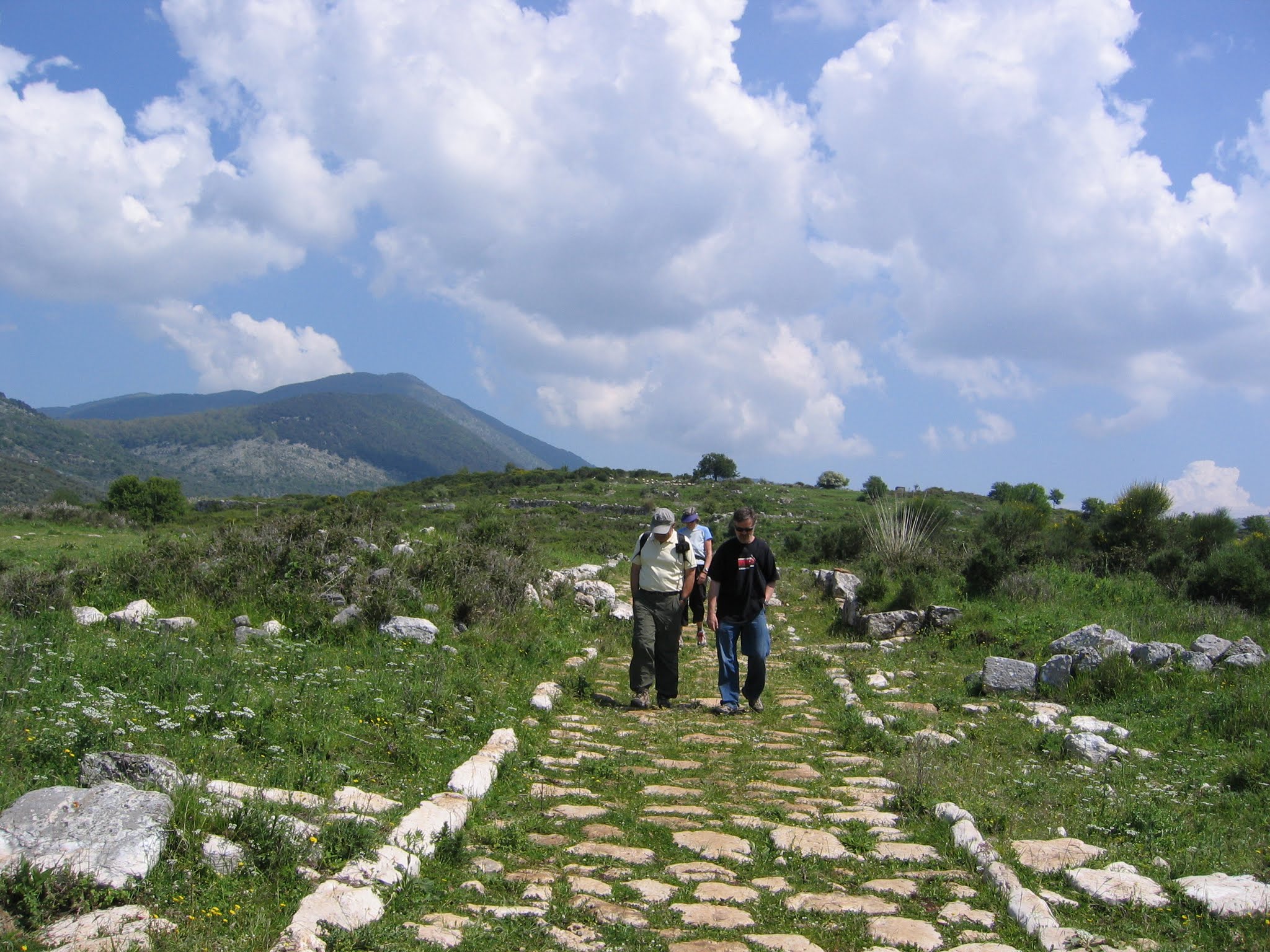 Roman street, Norba